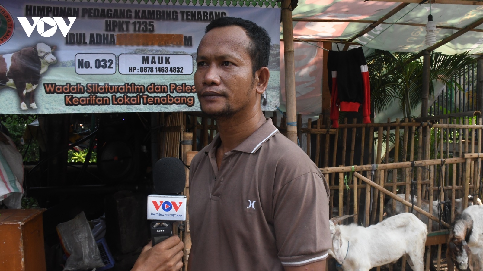 Nhộn nhịp chợ gia súc trước thềm Lễ hiến sinh Eid al-Adha tại Indonesia